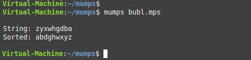 Mumps Programming